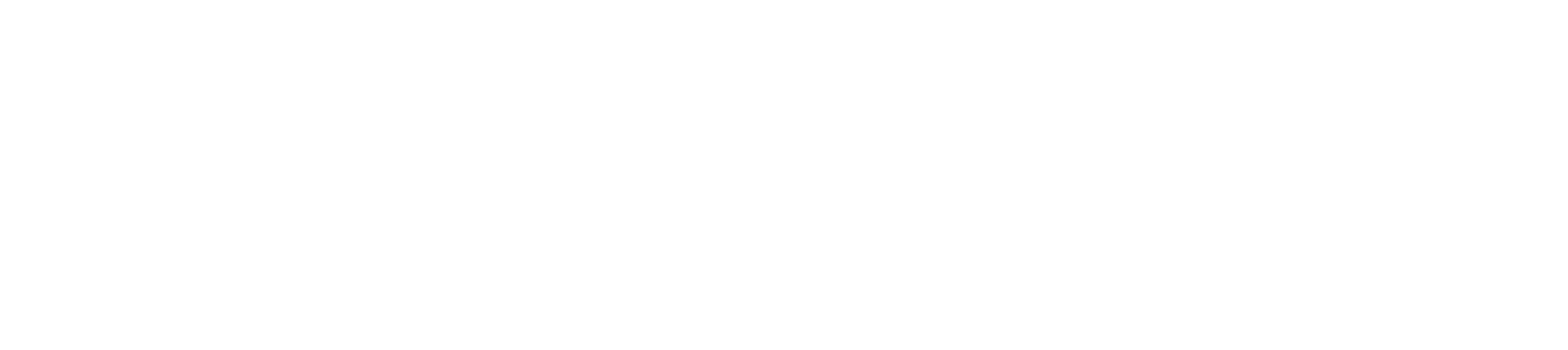 aviatema equipment logo white color